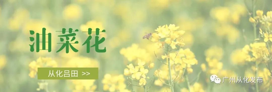 从化吕田美食攻略,从化吕田特色美食有哪些