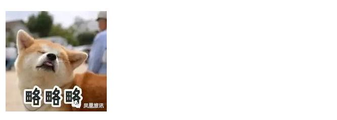 现在去日本最新政策,新政策出来后买车真便宜了吗