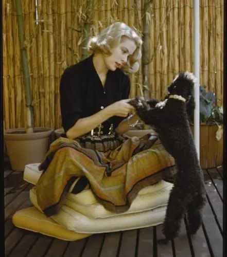 精美动物珠宝,动物系列顶级珠宝