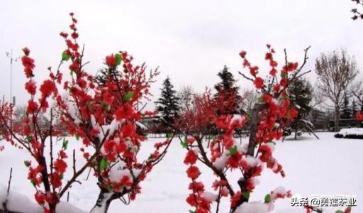 做人处世的方和圆之道,圆是处世之道方是做人之本