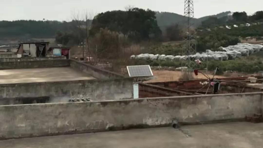 做个乖乖崽,做个乖乖的狗