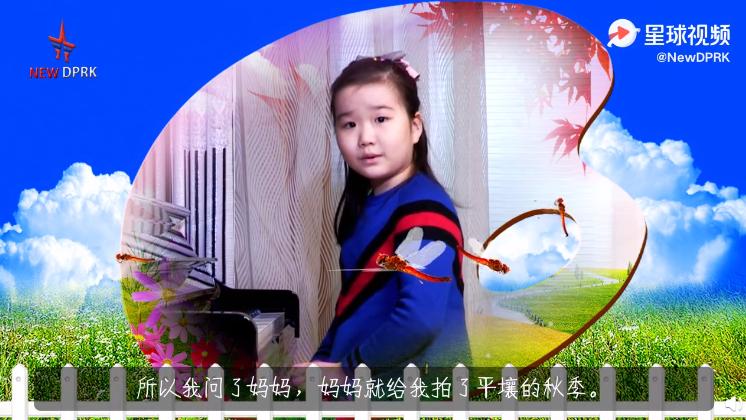 朝鲜美女主播开了油管账号，全球网友求更新