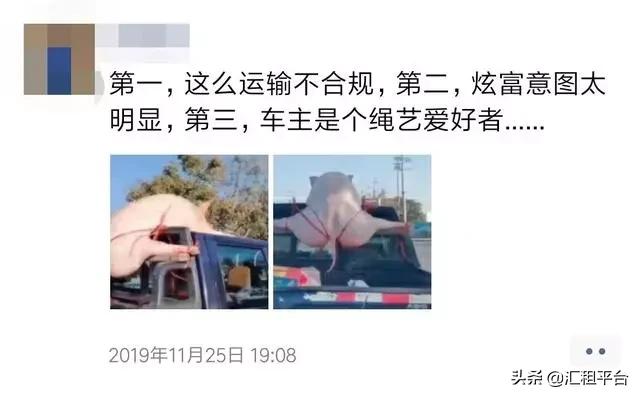 现在养挖机还能挣钱吗,养猪亏了50万还要继续养吗