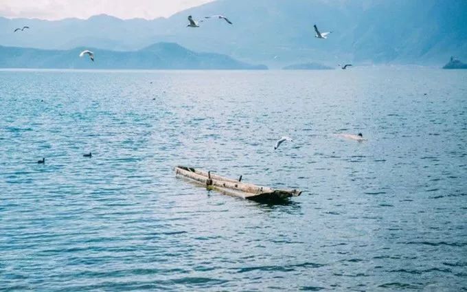 大理丽江泸沽湖三天之旅,云南丽江泸沽湖风花雪月