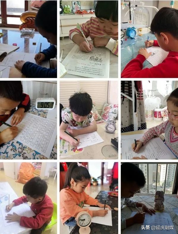 不停学停课不停教,不停学不停课