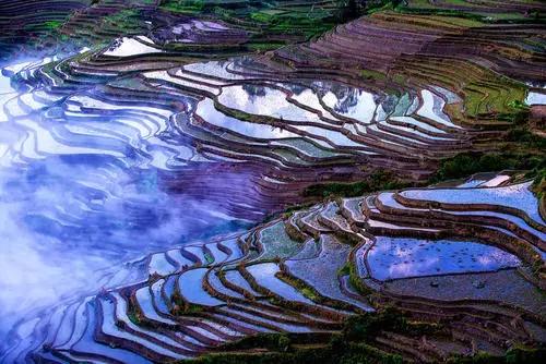 古代说的南方的瘴气是什么,南方瘴气是什么