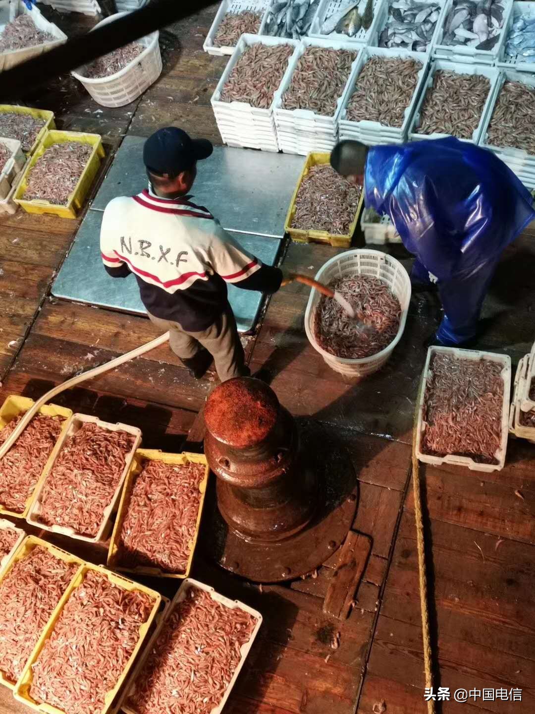 电信5g信号变成4g信号,电信5g信号能覆盖多远