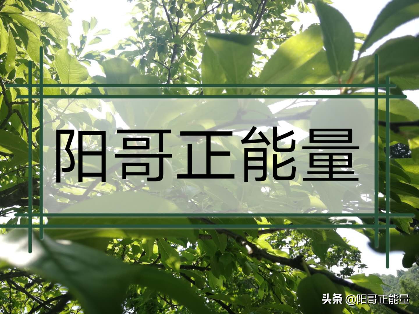 疫情过后的地摊行业现状,疫情过后地摊行业会怎么样