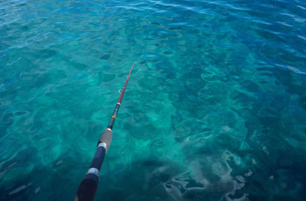 钓鱼技巧入门该如何选择钓鱼装备,新手钓鱼必备装备技巧