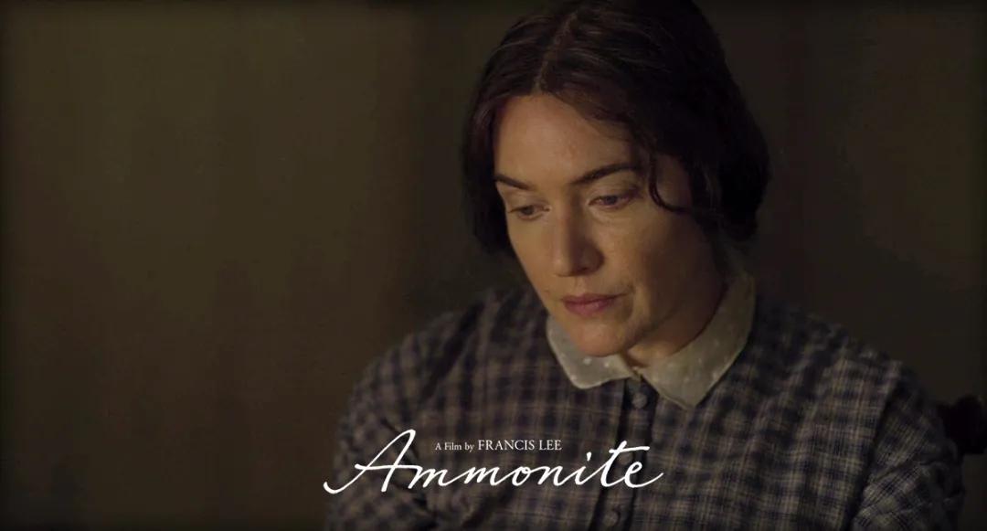 《菊石》的后劲：沉浸体验式的阅片过程，前所未有