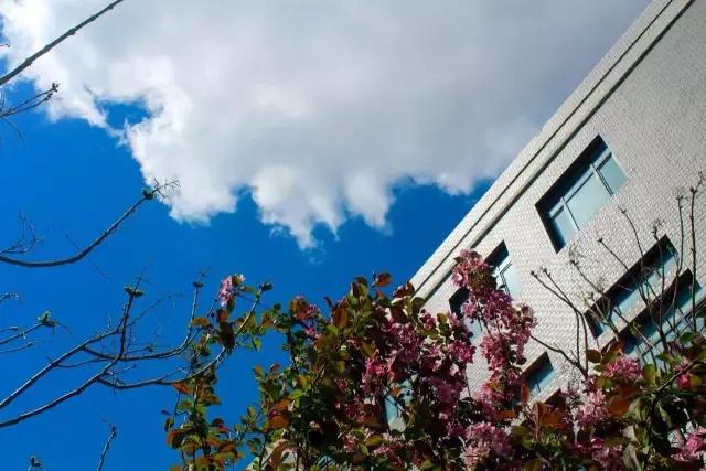 辽宁中医药大学杏林学院独立学院,辽宁中医药大学三个校区