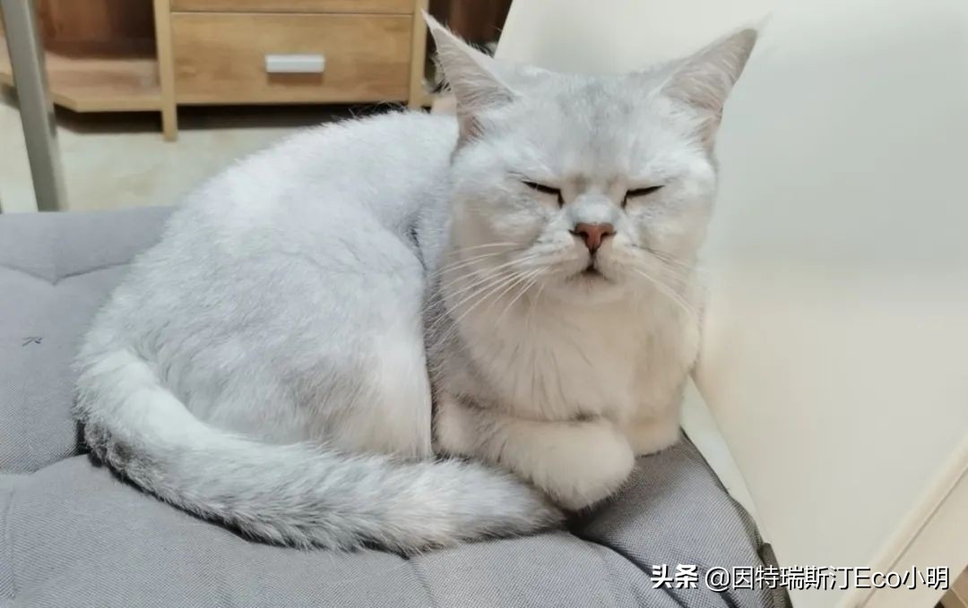 叶飞爆料事件背后的思考,叶飞财经爆料