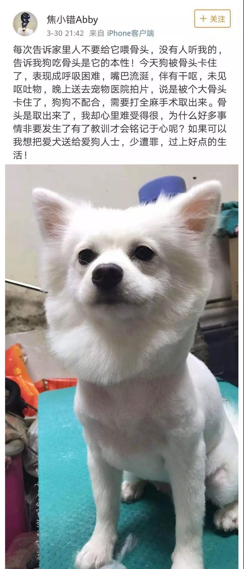 大金毛吃了鸡骨头吐了一点,大金毛吃骨头卡着会有什么症状