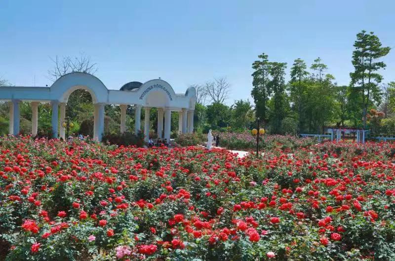 广州从化适合亲子游一日游,广州从化出游攻略