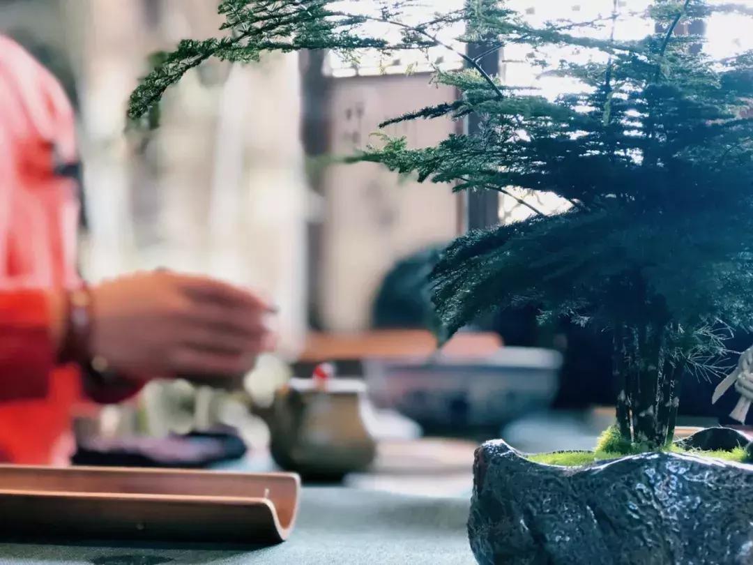 宝鸡市凤翔区灵山景区,宝鸡灵山和凤翔灵山是一个吗