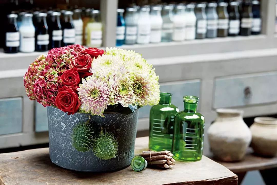 冬季切花菊,银叶菊鲜切花搭配