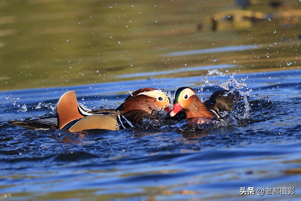 冲冠一怒为红颜讲的是谁,冲冠一怒为红颜的故事