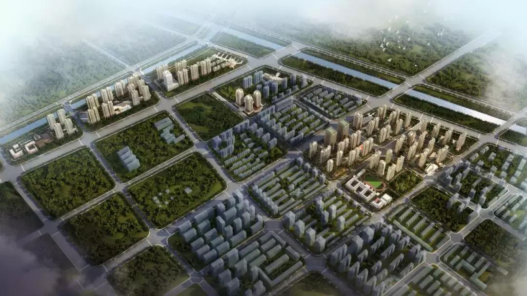 父母那一辈经历过什么,父母的70年代是啥样的