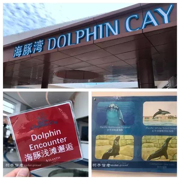 三亚亚特兰蒂斯水世界游玩路线,三亚亚特兰蒂斯水上乐园游玩项目