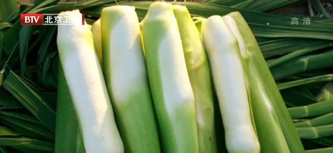 “水中珍宝”这样吃,媲美人参!控血脂、健脾胃、祛湿气……错过太可惜!