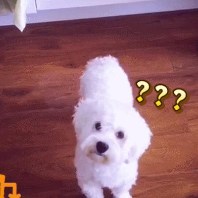 重量级大咖,重量级大咖云集