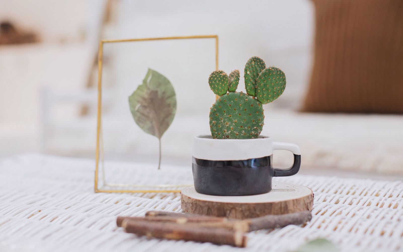 深圳自考本科的档案应该送去哪,深圳自考本科有学位证书吗