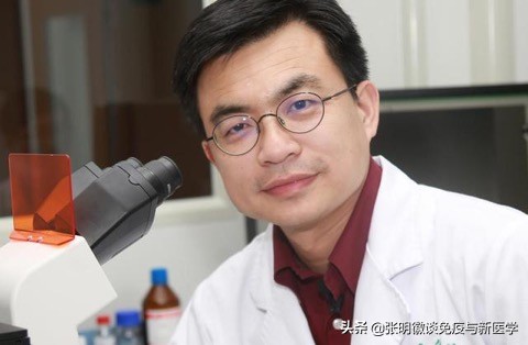 免疫治疗治什么癌,免疫治疗能治疗什么癌症