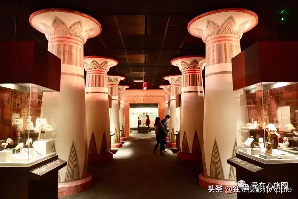 喂鳄鱼、看篮球比赛和太空中心的好玩休斯顿