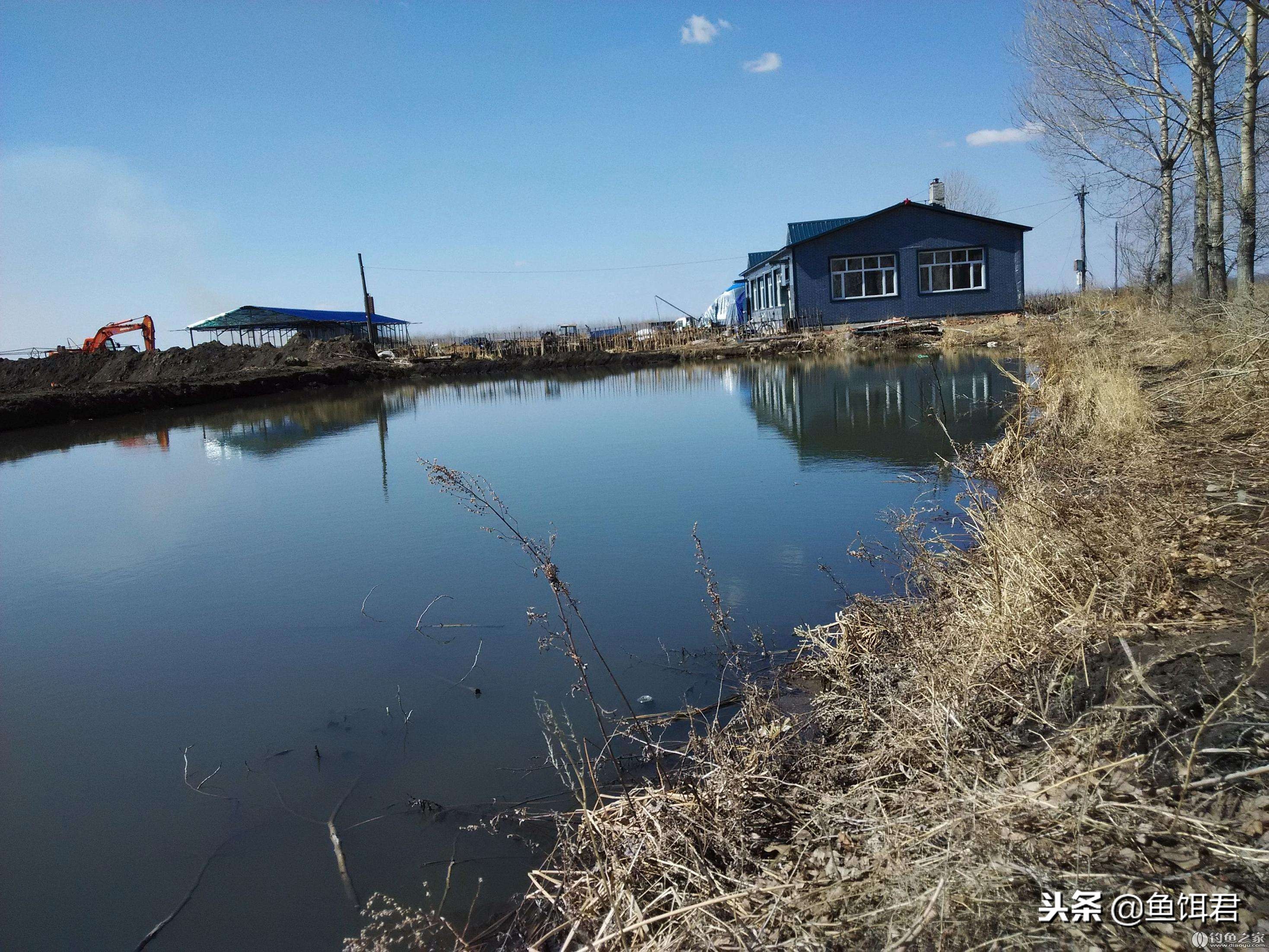 黑坑撒化肥怎么解决,黑坑为啥撒石灰粉