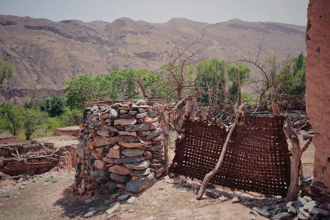 可盐可甜是哪首歌的歌词,可盐可甜出自哪