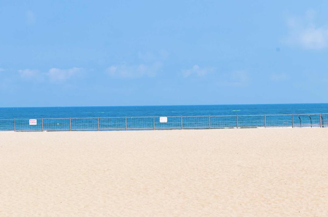 青岛景点春节免费开放通知,青岛六十岁老人去哪些景点免费