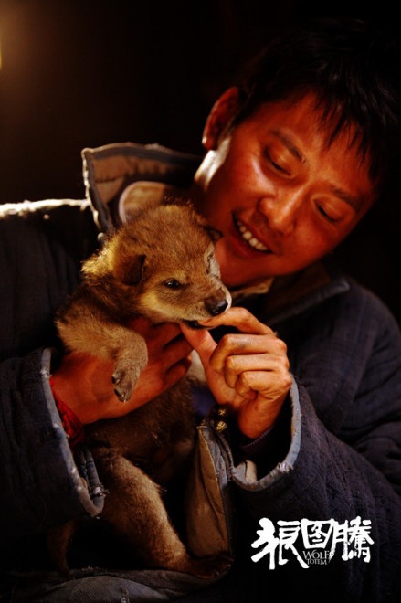100部必看经典电影文学,值得看的经典文学电影