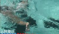 蛙泳抬头换气腿下沉怎么回事,蛙泳抬头换气腿下沉怎么办
