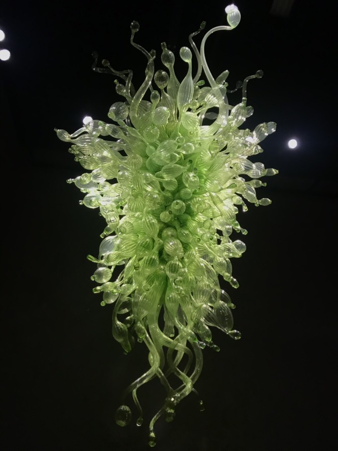 西雅图游记,西雅图游记奥林匹克国家公园