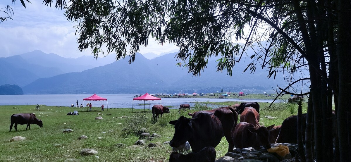 露营地看日出点推荐,藏在深山里的绝美露营点