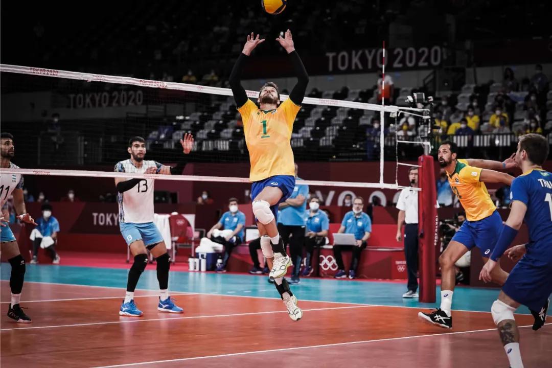 法国男排夺的冠军,男排世界杯阿根廷男排成绩