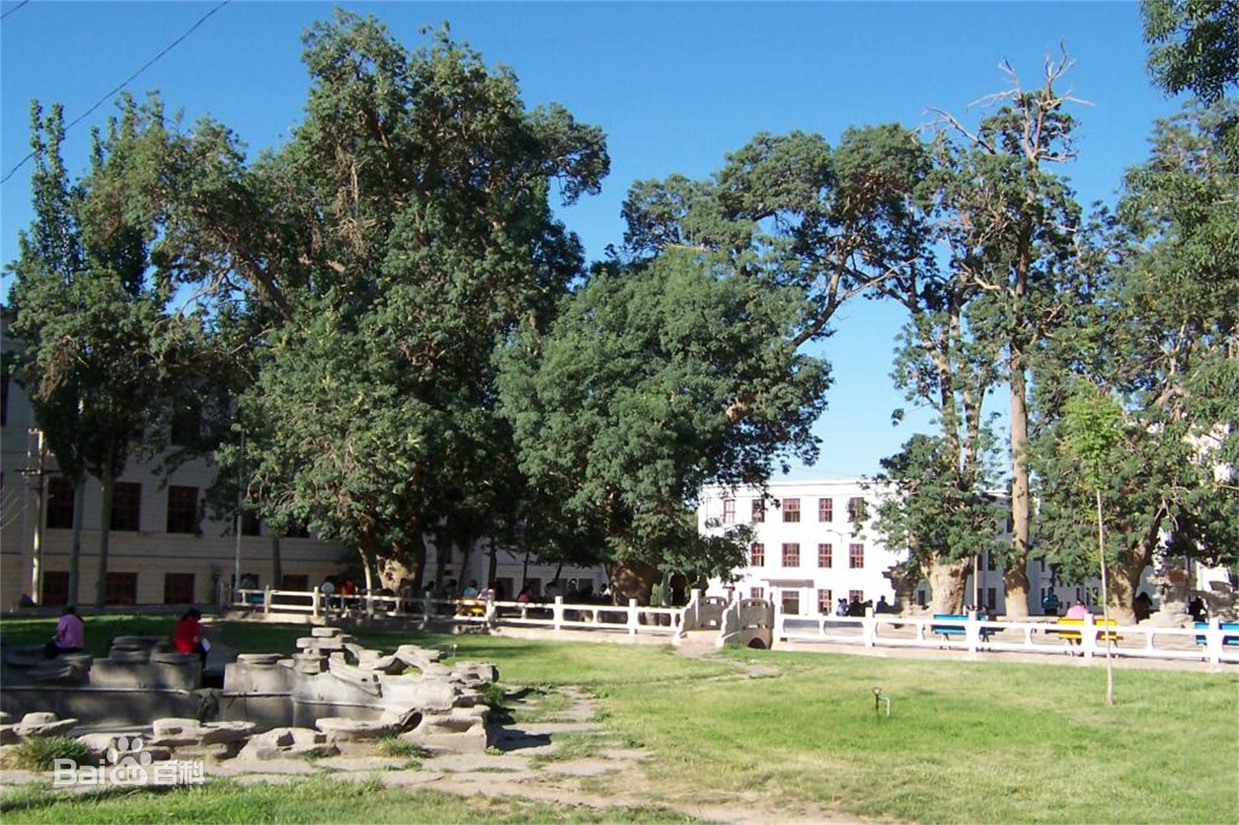 喀什有哪些大学?只有喀什大学一棵独苗,适合哪些考生呢?