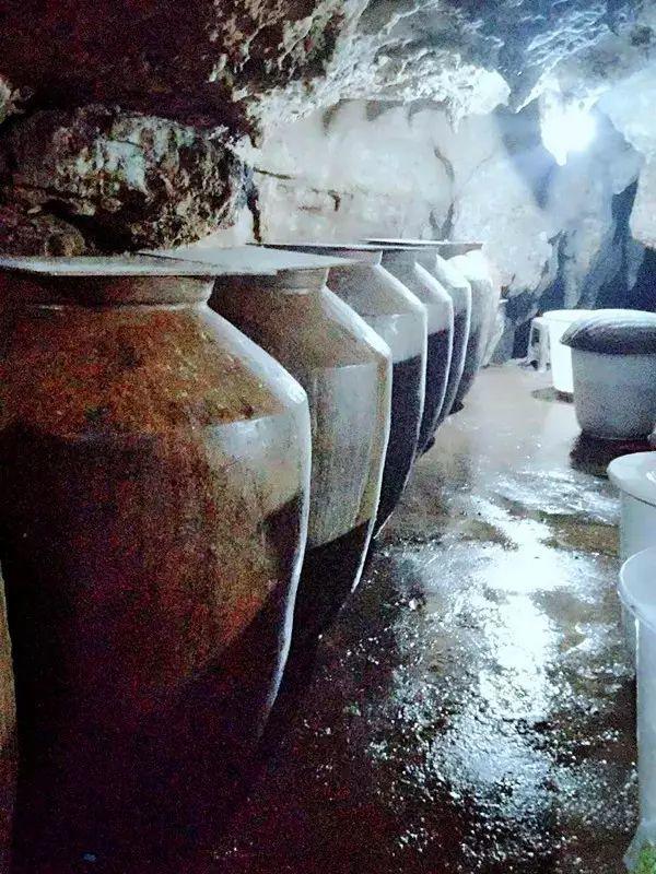 毕节市大方县旅游攻略一日游路线,毕节地区旅游攻略大全最新