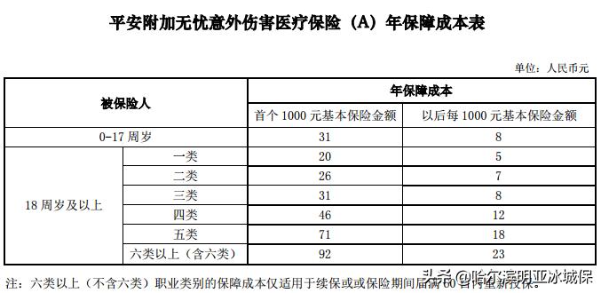平安智胜人生怎样,平安智胜人生万能型