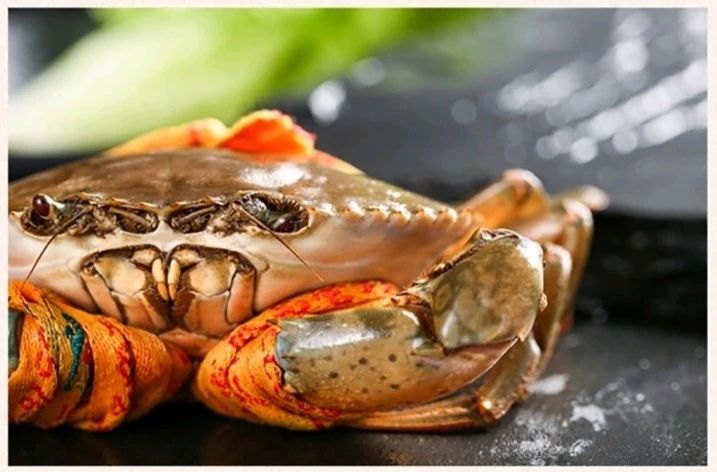 《新农》59期｜养青蟹大学生变村小二，临高95后别样“返乡路”