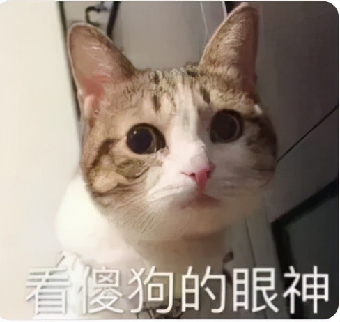 东方有一片海北洋水师,东方有一片海纯音乐