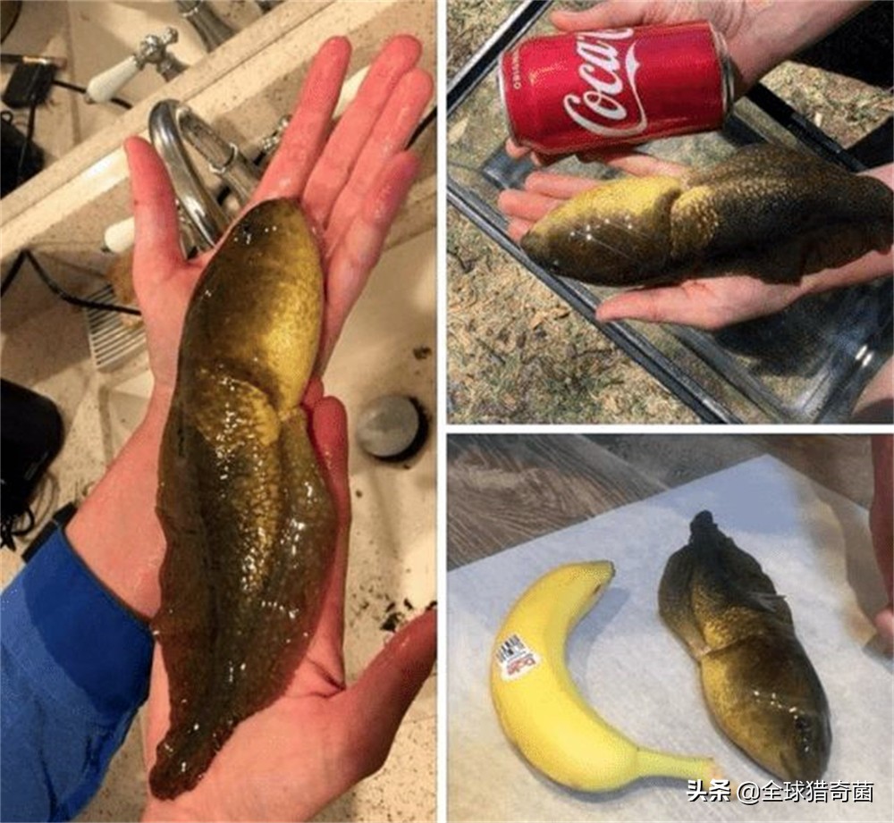 word一般字体大小是多少,word字体大小是多少