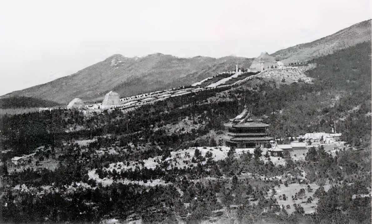 84年前紫金山那场惨烈的保卫战