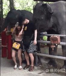 笑话怎么解释,笑话真相原来是这样