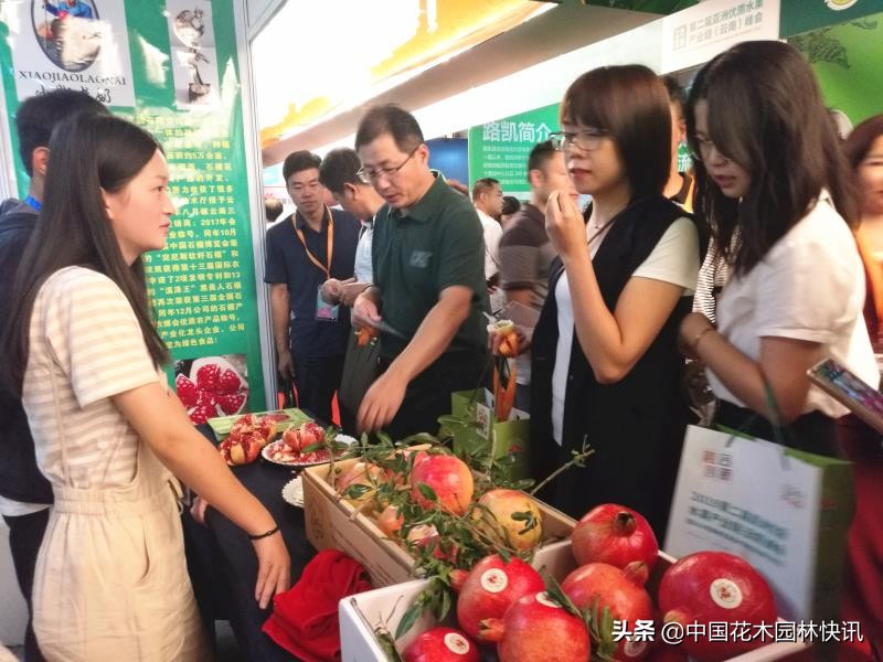 云南水果产业现状,云南水果发展现状