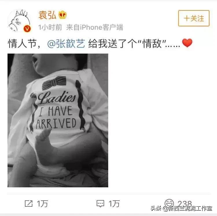 张歆艺袁弘官宣,张歆艺宣布袁弘要当爸爸