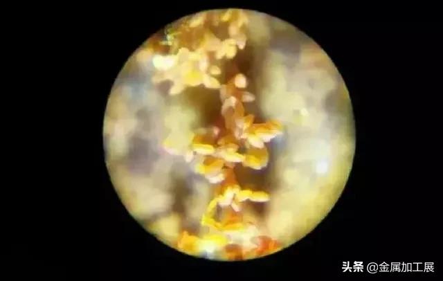 迷你高清便携显微镜对眼睛有害吗,日本口袋放大120倍显微镜