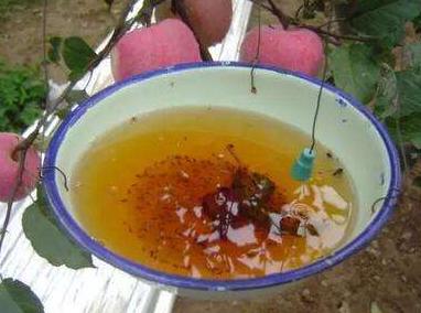 物理杀虫原理,物理杀虫详细介绍