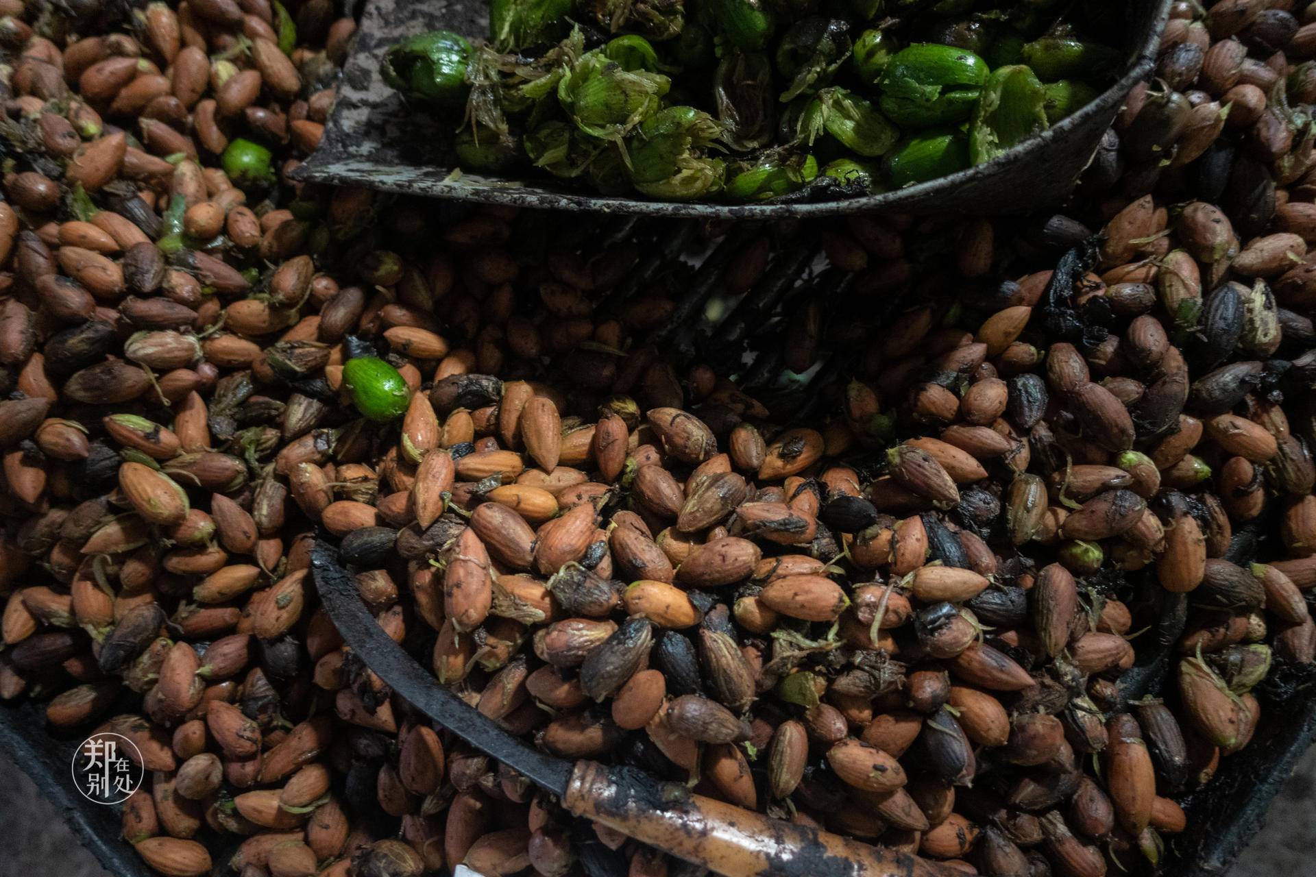 香榧古道,香榧古道徒步路线哪条景色美