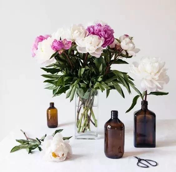家庭药瓶花瓶插花教程,药瓶子插花